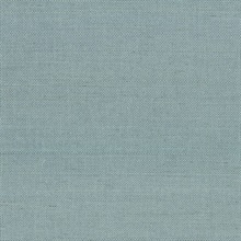Maguey Natural Sisal Grasscloth Dragonfly Wallpaper