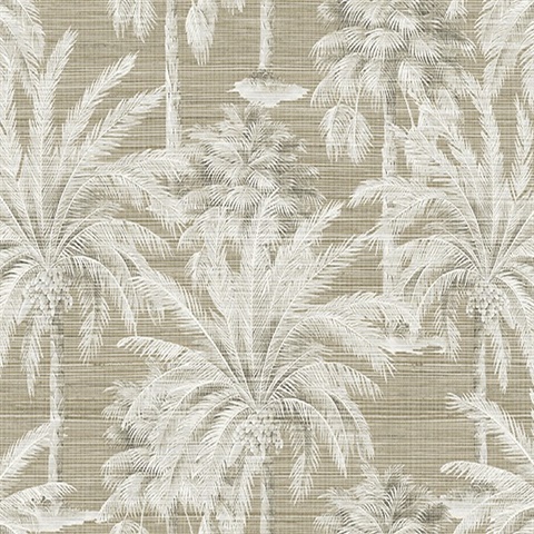 Dream Of Palm Trees Brown Texture