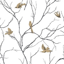 Dreamy Birds Contrasto Wallpaper