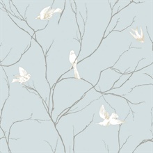 Dreamy Birds Sky Wallpaper