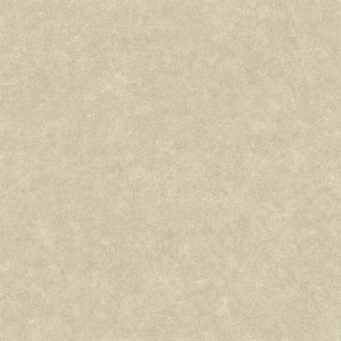 Duchamp Champagne Metallic Texture Wallpaper