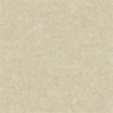 Duchamp Champagne Metallic Texture Wallpaper