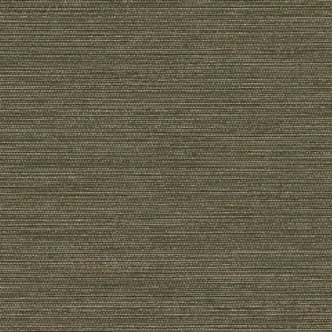 Dune Grass