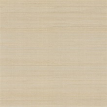 Modern Abaca Dune Wallpaper