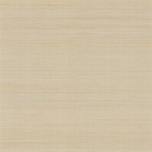 Modern Abaca Dune Wallpaper