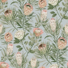 Dusty Blue &amp; Coral Large Drawn Protea Floral &amp; Leaf Wallpaper