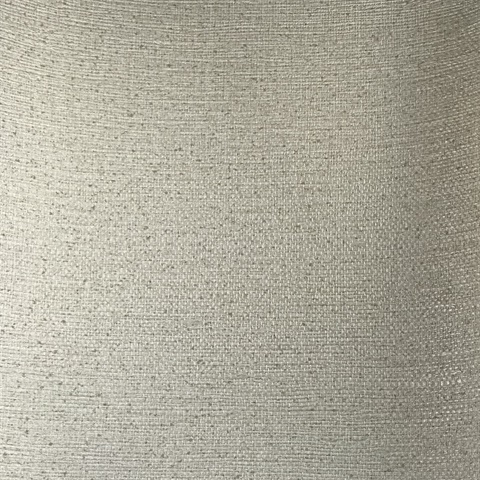 Earth Mist Beige Textured Wallpaper