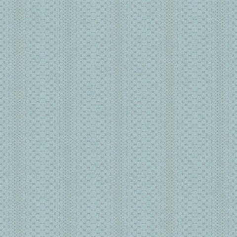 Echo