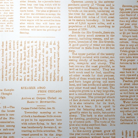 Editorial Newspaper Gold &amp; White Newsstand