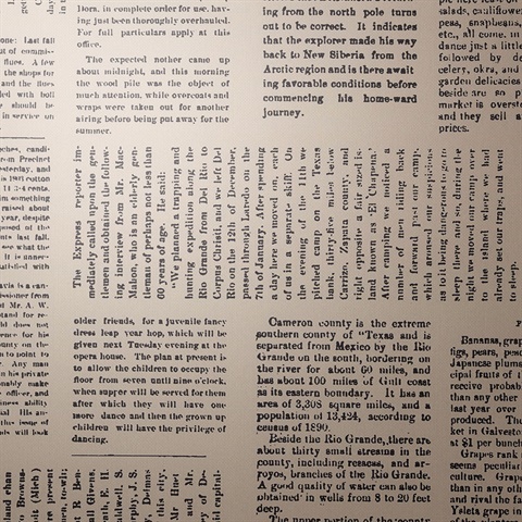 Editorial Newspaper Taupe &amp; Black Daily