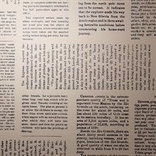 Editorial Newspaper Taupe &amp; Black Daily