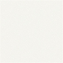 Effervesce Clear Glass Wallpaper