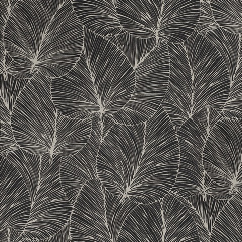 4041-456608 | Eilian Black Textured Palm Leaf Wallpaper