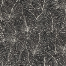 Eilian Black Textured Palm Leaf Wallpaper