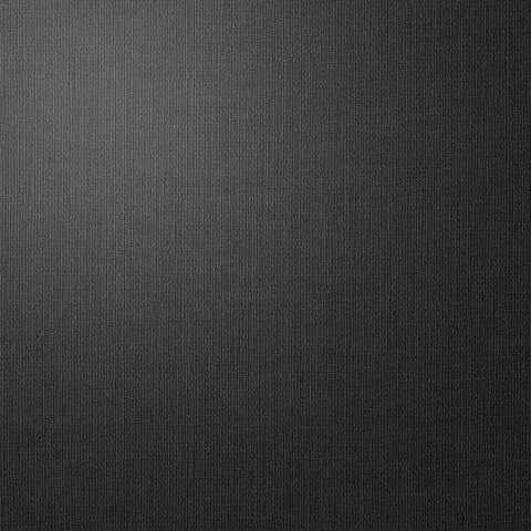 Elemental Tabby Weave Linen Blackboard