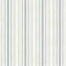 Ellsworth Denim Sunny Stripe