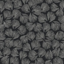 Elora Abstract Leaf Black Wallpaper