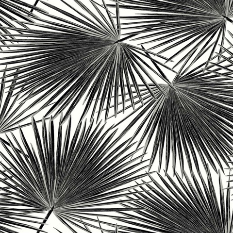 Elvis Inky Modern Large Palm Wallpaper