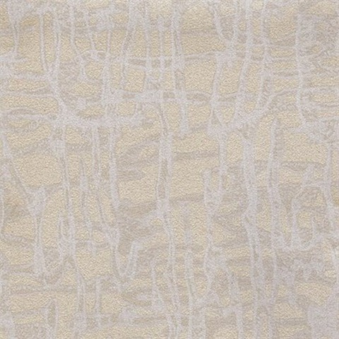 Encompass Reflection