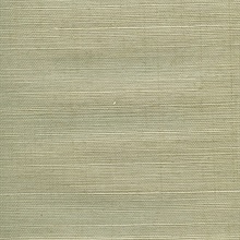 Enlai Brown Grasscloth Wallpaper