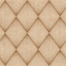 Enlightenment Brown Diamond Geometric