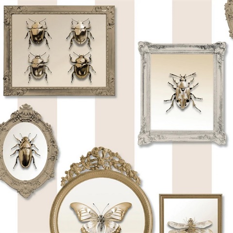 Entomology Gallery Beige Wallpaper
