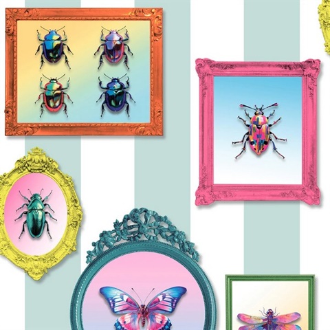 Entomology Gallery Blue Wallpaper