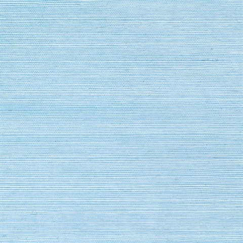 Enya Aqua Sisal Wallpaper