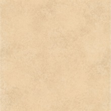 Erith Beige Marble Texture