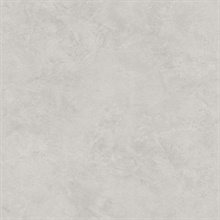 Escher Light Grey Plaster Textured Wallpaper