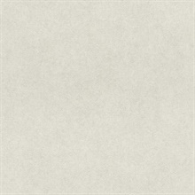 Etsu Grey Distressed Textured Wallpaper