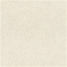 Etsu Light Taupe Distressed Textured Wallpaper