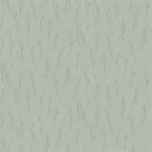Eucalyptus &amp; Silver Leaf &amp; Sprig Banches Wallpaper