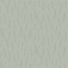 Eucalyptus & Silver Leaf & Sprig Banches Wallpaper