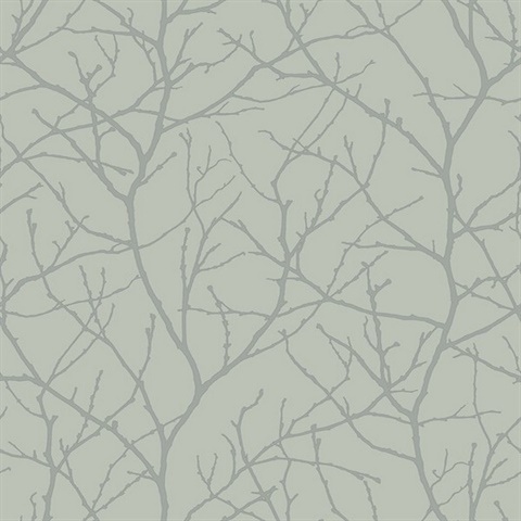 Eucalyptus & Silver Trees Silhouette Wallpaper