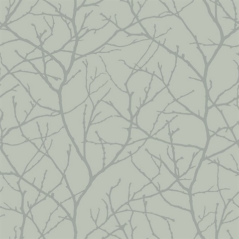 Eucalyptus & Silver Trees Silhouette Wallpaper