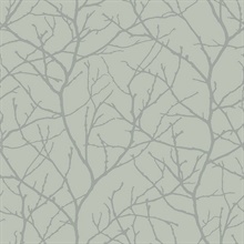 Eucalyptus &amp; Silver Trees Silhouette Wallpaper