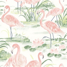 Everglades Coral Flamingos Wallpaper