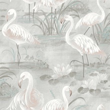 Everglades Grey Flamingos Wallpaper