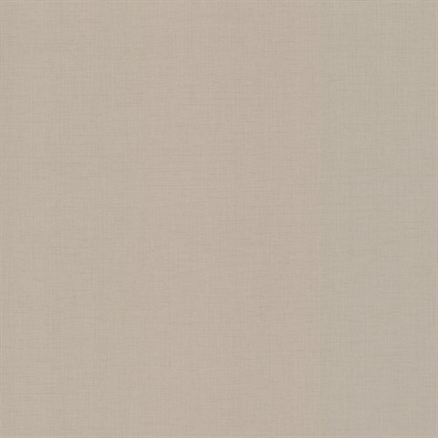 Evermore Light Grey Woven Wallpaper