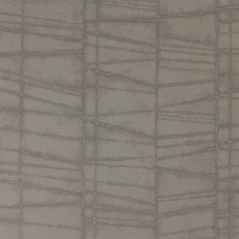 Evora Fossil