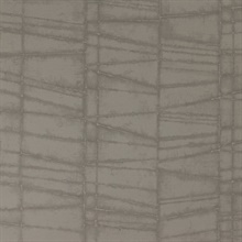 Evora Fossil