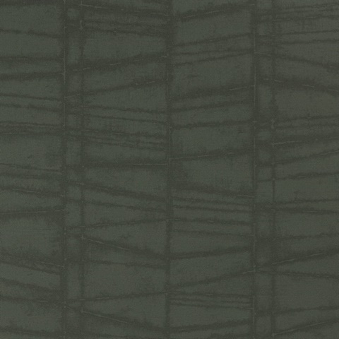Evora Spruce