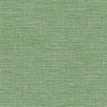 Exhale Green Faux Textured Wallpaper