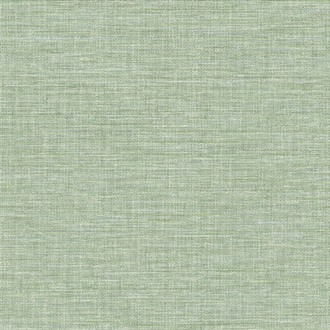 Exhale Light Green Faux Textured Wallpaper