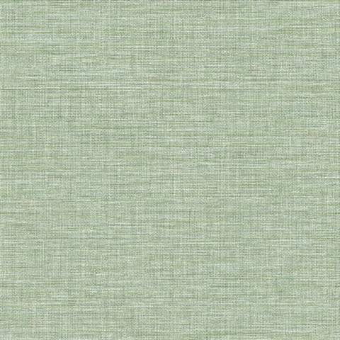 Exhale Light Green Texture Wallpaper