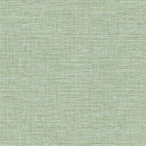 Exhale Light Green Texture Wallpaper