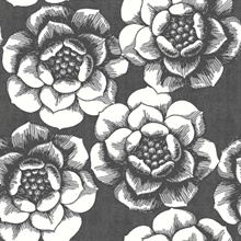 Fanciful Black Floral Wallpaper