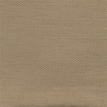 Fang Taupe Grasscloth