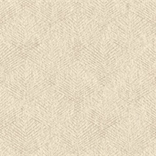 Fans Beige Texture